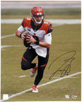 Joe Burrow Signed Cincinnati Bengals Rollout Action 16x20 Photo (Fanatics) - BUR16P300 - Joe Burrow Signed Cincinnati Bengals Rollout Action 16x20 Photo (Fanatics) product image
