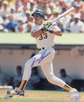 Jose Canseco Signed Oakland A's (Athletics) Swinging Action 8x10 Photo - CAN08P104 - Jose Canseco Signed Oakland A's (Athletics) Swinging Action 8x10 Photo product image
