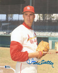 Steve Carlton Signed St. Louis Cardinals Pose 8x10 Photo - (Beckett) - CAR08P103 - Steve Carlton Signed St. Louis Cardinals Pose 8x10 Photo - (Beckett) product image