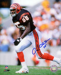 Andre Collins Signed Cincinnati Bengals Black Jersey Action 8x10 Photo - COL08P325TW - Andre Collins Signed Cincinnati Bengals Black Jersey Action 8x10 Photo product image