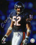 Andre Collins Signed Chicago Bears Navy Jersey 8x10 Photo - COL08P326TW - Andre Collins Signed Chicago Bears Navy Jersey 8x10 Photo product image