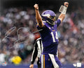 Sam Darnold Signed Minnesota Vikings Passing 16x20 Photo - (Fanatics) - DAR16P300 - Sam Darnold Signed Minnesota Vikings Passing 16x20 Photo - (Fanatics) product image