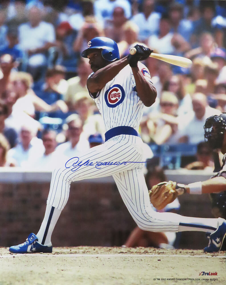 Andre Dawson Signed Chicago Cubs Batting Action 16x20 Photo - DAW16P102 - Andre Dawson Signed Chicago Cubs Batting Action 16x20 Photo product image