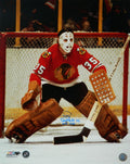 Tony Esposito Signed Chicago Blackhawks Goalie Action 16x20 Photo w/HOF 1988 - ESP16P404 - Tony Esposito Signed Chicago Blackhawks Goalie Action 16x20 Photo w/HOF 1988 product image