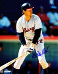 Carlton Fisk Signed Chicago White Sox Batting Action 8x10 Photo - FIS08P104 - Carlton Fisk Signed Chicago White Sox Batting Action 8x10 Photo product image