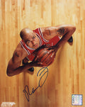 Marcus Fizer Signed Chicago Bulls Red Jersey Looking Up On Court 8x10 Photo - FIZ08P200 - Marcus Fizer Signed Chicago Bulls Red Jersey Looking Up On Court 8x10 Photo product image