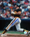 Steve Garvey Signed San Diego Padres Swinging 8x10 Photo - (In Blue) - GAR08P133 - Steve Garvey Signed San Diego Padres Swinging 8x10 Photo - (In Blue) product image