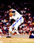 Goose Gossage Signed New York Yankees Pitching Action 8x10 Photo - GOS08P101 - Goose Gossage Signed New York Yankees Pitching Action 8x10 Photo product image