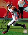A.J. Green Signed Bengals Action 8x10 Photo - GRE08P300 - A.J. Green Signed Bengals Action 8x10 Photo product image