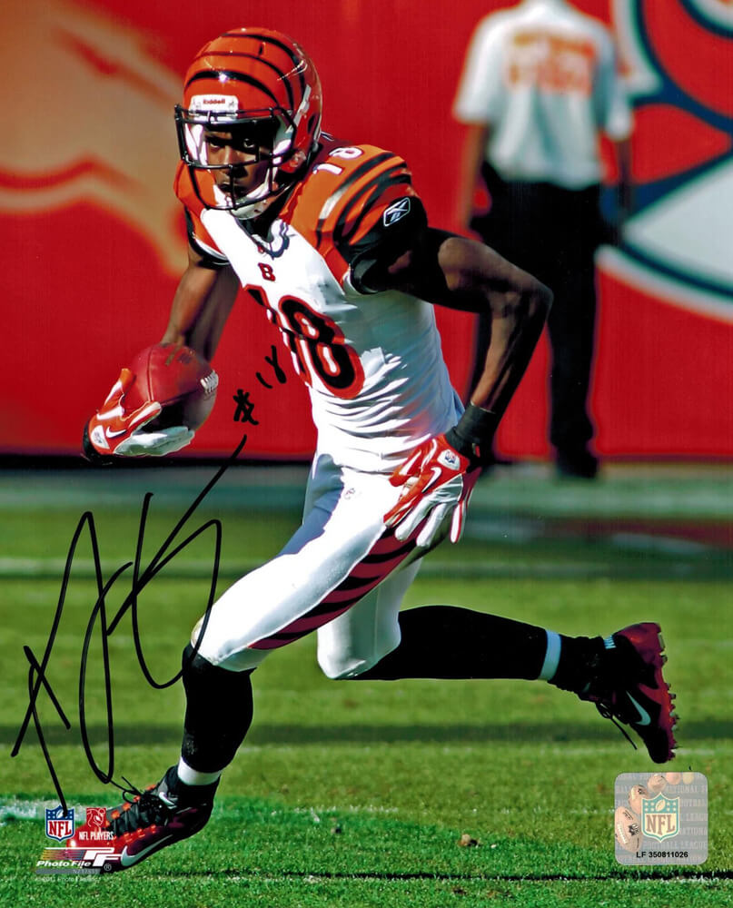 A.J. Green Signed Bengals Action 8x10 Photo - GRE08P300 - A.J. Green Signed Bengals Action 8x10 Photo product image