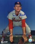 Dick Groat Signed St Louis Cardinals Fielding Stance Pose 8x10 Photo - GRO08P102 - Dick Groat Signed St Louis Cardinals Fielding Stance Pose 8x10 Photo product image