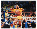 Hulk Hogan Signed WWE Hulkamania Wrestling 16x20 Photo - HOG16P504 - Hulk Hogan Signed WWE Hulkamania Wrestling 16x20 Photo product image