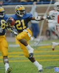 Desmond Howard Signed Michigan Wolverines Heisman Pose 16x20 Photo - HOW16P302 - Desmond Howard Signed Michigan Wolverines Heisman Pose 16x20 Photo product image