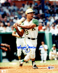 Reggie Jackson Signed Oakland A's Swinging Action 8x10 Photo (Beckett) - JAC08P106 - Reggie Jackson Signed Oakland A's Swinging Action 8x10 Photo (Beckett) product image