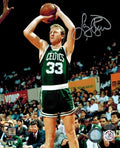 Larry Bird Signed Autographed Celtics Inbound Pass 8x10 Photo - BIR08P200 - Larry Bird Signed Autographed Celtics Inbound Pass 8x10 Photo product image