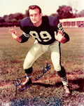 Gino Marchetti Signed Colts Stance Pose 8x10 Photo - MAR08P340 - Gino Marchetti Signed Colts Stance Pose 8x10 Photo product image