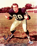 Gino Marchetti Signed Colts Stance Pose 8x10 Photo w/HOF'72 (Beckett) - MAR08P341 - Gino Marchetti Signed Colts Stance Pose 8x10 Photo w/HOF'72 (Beckett) product image