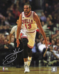 Joakim Noah Signed Chicago Bulls Running Action 8x10 Photo - NOA08P200 - Joakim Noah Signed Chicago Bulls Running Action 8x10 Photo product image