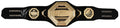 Dustin Poirier Signed MMA Championship UFC Black Belt w/The Diamond - POIBLT500 - Dustin Poirier Signed MMA Championship UFC Black Belt w/The Diamond product image