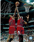 Dennis Rodman Signed Bulls Action 8x10 Photo w/Jordan - ROD08P201 - Dennis Rodman Signed Bulls Action 8x10 Photo w/Jordan product image