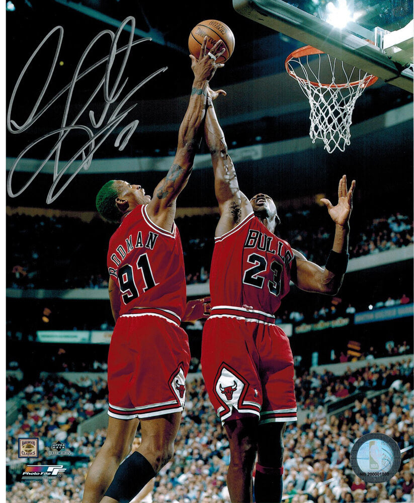 Dennis Rodman Signed Bulls Action 8x10 Photo w/Jordan - ROD08P201 - Dennis Rodman Signed Bulls Action 8x10 Photo w/Jordan product image
