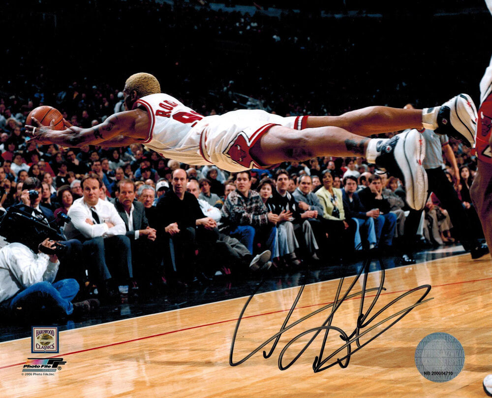 Dennis Rodman Signed Bulls Diving 8x10 Photo - ROD08P202 - Dennis Rodman Signed Bulls Diving 8x10 Photo product image