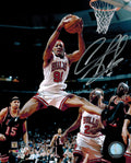 Dennis Rodman Signed Bulls Rebound Action 8x10 Photo - ROD08P204 - Dennis Rodman Signed Bulls Rebound Action 8x10 Photo product image
