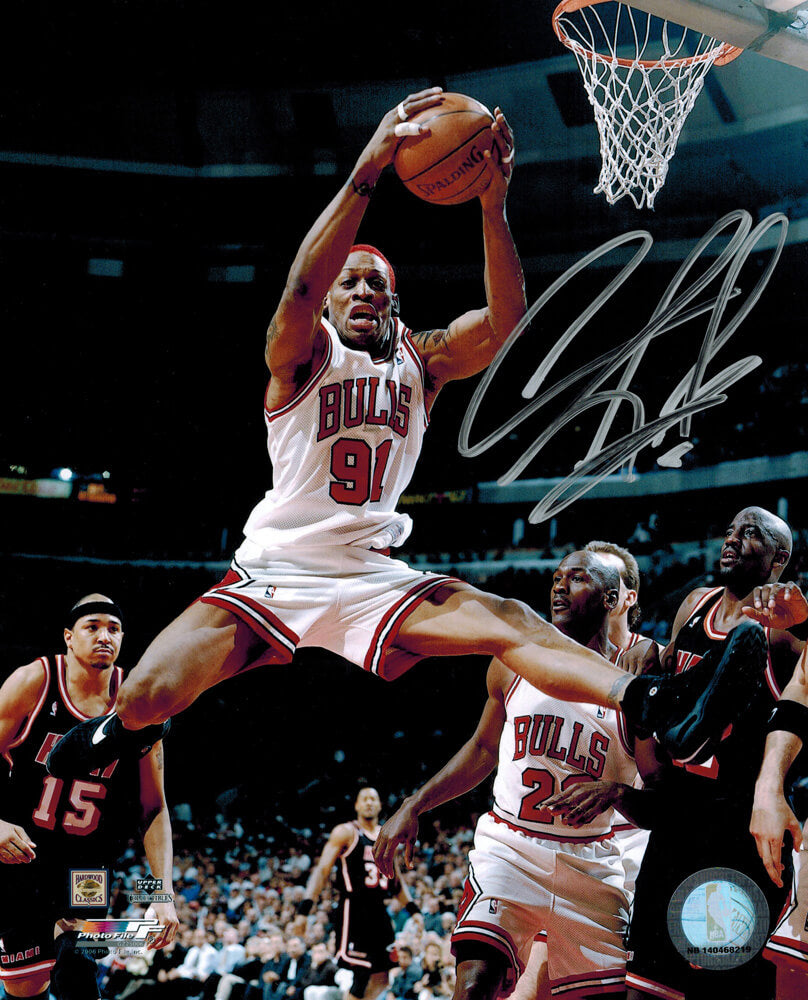 Dennis Rodman Signed Bulls Rebound Action 8x10 Photo - ROD08P204 - Dennis Rodman Signed Bulls Rebound Action 8x10 Photo product image