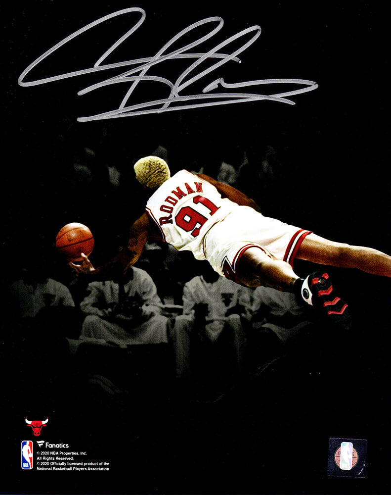 Dennis Rodman Signed Chicago Bulls Diving Spotlight 8x10 Photo - ROD08P210 - Dennis Rodman Signed Chicago Bulls Diving Spotlight 8x10 Photo product image