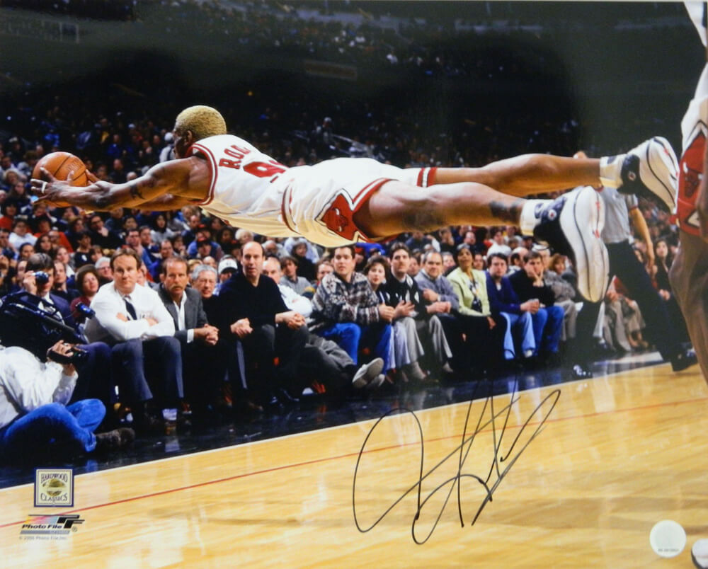 Dennis Rodman Signed Bulls Diving 16x20 Photo - ROD16P200 - Dennis Rodman Signed Bulls Diving 16x20 Photo product image