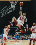 Dennis Rodman Signed Chicago Bulls One Handed Rebound Action 16x20 Photo - ROD16P222 - Dennis Rodman Signed Chicago Bulls One Handed Rebound Action 16x20 Photo product image