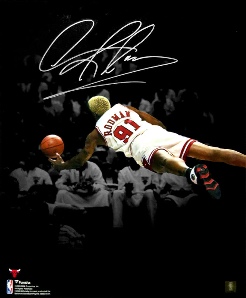 Dennis Rodman Signed Chicago Bulls Diving Spotlight 16x20 Photo - ROD16P228 - Dennis Rodman Signed Chicago Bulls Diving Spotlight 16x20 Photo product image