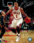 Derrick Rose Signed Bulls White Jersey Dribbling 8x10 Photo (Silver) - ROS08P207 - Derrick Rose Signed Bulls White Jersey Dribbling 8x10 Photo (Silver) product image
