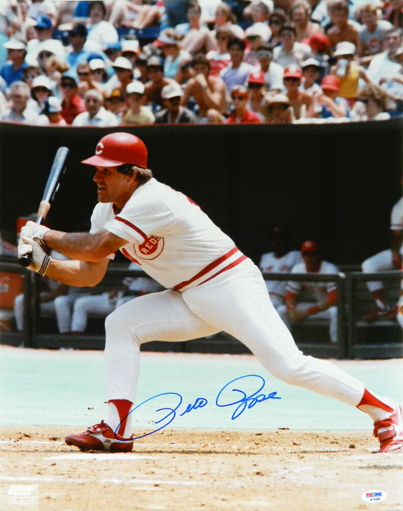 Pete Rose Signed Cincinnati Reds Swinging 16x20 Photo (PSA/DNA) - ROS16P103 - Pete Rose Signed Cincinnati Reds Swinging 16x20 Photo (PSA/DNA) product image