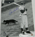 Ron Santo Signed Autographed"Black Cat" At Shea Stadium 16x20 Photo - SAN16P102 - Ron Santo Signed Autographed"Black Cat" At Shea Stadium 16x20 Photo product image