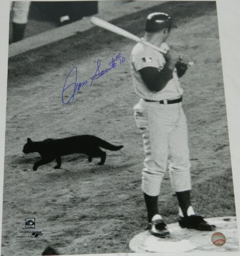 Ron Santo Signed Autographed"Black Cat" At Shea Stadium 16x20 Photo - SAN16P102 - Ron Santo Signed Autographed"Black Cat" At Shea Stadium 16x20 Photo product image