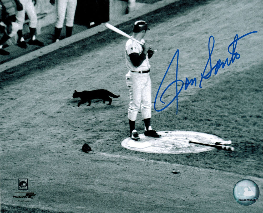 Ron Santo Signed "Black Cat" At Shea Stadium 8x10 Photo - SAN08P101 - Ron Santo Signed "Black Cat" At Shea Stadium 8x10 Photo product image