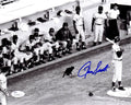 Ron Santo Signed Chicago Cubs Black Cat B&W 8x10 Photo - SAN08P108 - Ron Santo Signed Chicago Cubs Black Cat B&W 8x10 Photo product image