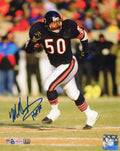 Mike Singletary Signed Chicago Bears Navy Jersey Action 8x10 Photo w/HOF'98 - SIN08P310 - Mike Singletary Signed Chicago Bears Navy Jersey Action 8x10 Photo w/HOF'98 product image