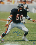 Mike Singletary Signed Chicago Bears Action Stance 16x20 Photo w/HOF'98 - SIN16P308 - Mike Singletary Signed Chicago Bears Action Stance 16x20 Photo w/HOF'98 product image