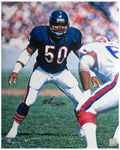 Mike Singletary Signed Chicago Bears Navy Jersey Action vs Bills 16x20 Photo w/HOF'98 - SIN16P312 - Mike Singletary Signed Chicago Bears Navy Jersey Action vs Bills 16x20 Photo w/HOF'98 product image