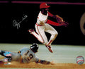 Ozzie Smith Signed Cardinals 1982 World Series Action 8x10 Photo - SMI08P101 - Ozzie Smith Signed Cardinals 1982 World Series Action 8x10 Photo product image
