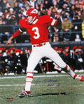 Jan Stenerud Signed Kansas City Chiefs Action 16x20 Photo w/HOF'91 - STE16P300 - Jan Stenerud Signed Kansas City Chiefs Action 16x20 Photo w/HOF'91 product image