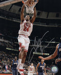 Tyrus Thomas Signed Chicago Bulls White Jersey Dunk 8x10 Photo - THO08P221 - Tyrus Thomas Signed Chicago Bulls White Jersey Dunk 8x10 Photo product image