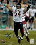 Brian Urlacher Signed Bears Arms Raised Celebration 8x10 Photo - URL08P302 - Brian Urlacher Signed Bears Arms Raised Celebration 8x10 Photo product image