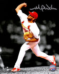Michael Wacha Signed St Louis Cardinals Pitching Spotlight 8x10 Photo - WAC08P103 - Michael Wacha Signed St Louis Cardinals Pitching Spotlight 8x10 Photo product image