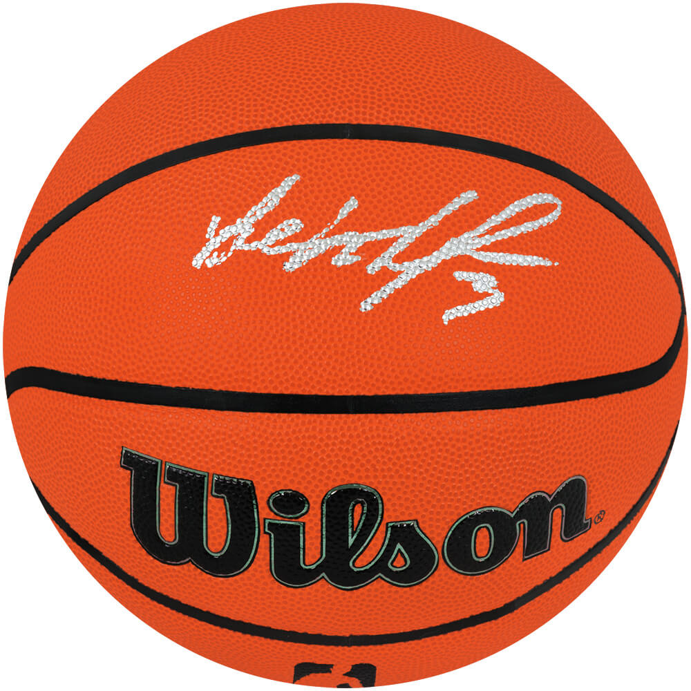 Ben Wallace Signed Wilson Indoor/Outdoor NBA Basketball - WALBSK252 - Ben Wallace Signed Wilson Indoor/Outdoor NBA Basketball product image