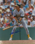 Walt Weiss Signed Oakland A's Grey Jersey Batting 8x10 Photo - WEI08P101 - Walt Weiss Signed Oakland A's Grey Jersey Batting 8x10 Photo product image