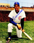 Billy Williams Signed Chicago Cubs Kneeling With Bat Pose 8x10 Photo - WIL08P104 - Billy Williams Signed Chicago Cubs Kneeling With Bat Pose 8x10 Photo product image