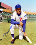 Billy Williams Signed Chicago Cubs Kneeling Pose 8x10 Photo - WIL08P108 - Billy Williams Signed Chicago Cubs Kneeling Pose 8x10 Photo product image